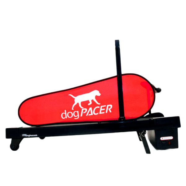 dogPACER LF 3.1 Dog Treadmill