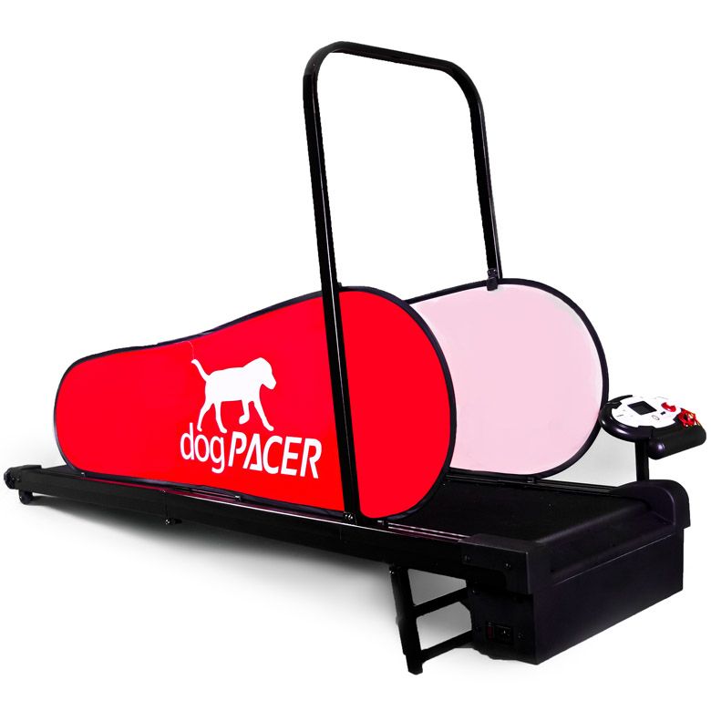 Dog treadmill for small dogs