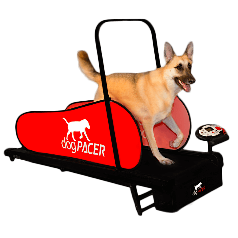 dogPACER Dog Treadmills. For Small 